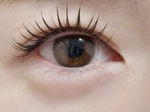 シープ(Sheep)/人気メニュー★アンドヘルシー