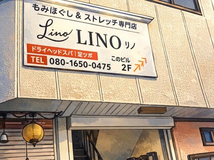 リノ(LINO)の写真
