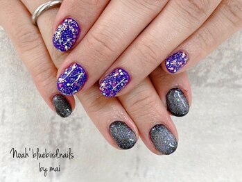 ノアブルーバードネイルズ(Noah' bluebird .nails)/星空ネイル