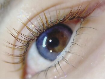 ザシーアイラッシュ 海老名(The C eyelash)の写真/【大人気ブラウンボリュームラッシュ取扱店☆】メイク/ファッション感覚で楽しめる♪ポイント～フルまで◎