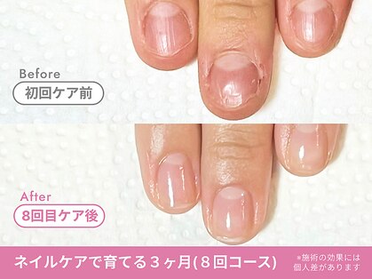 フェリエ(feerie)の写真