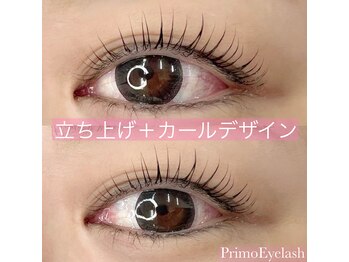 プリモアイラッシュ(Primo Eyelash)/立ち上げ＋カールデザイン