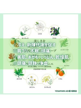ヨサパーク 葵 坂東店(YOSA PARK Aoi)/10~11種類のハーブはオリジナル