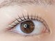 ベルアイラッシュ(Belu eyelash)の写真/【紹介でのご来店多数】ナチュラルキレイな褒められまつげになれる！あなたに合ったデザインで目元に自信♪