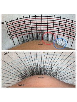 アンバー(Amber)/ラッシュアディクトサロンケア