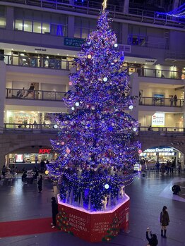 ソワンド ルバンシュ/今年ももうすぐこの季節☆