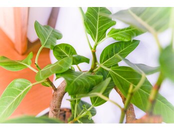 ウェルフィット/ナチュラルテイストの個室