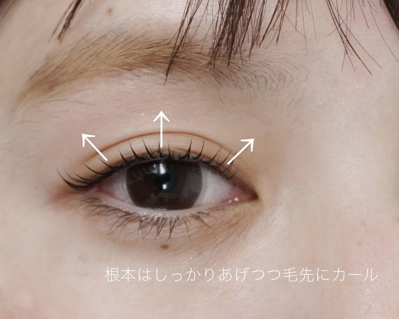 【正規品】ハリウッドブロウリフトセット　新品未使用 2025年最新】ハリウッドブロウリフトの人気アイテム - メルカリ