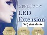 【LEDエクステ】 最高級ダブルフラットラッシュ 80束(160本)まで
