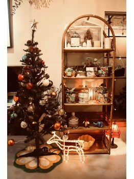 こりほぐし 図書館前/クリスマス始まってます