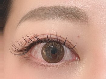 リリー(Lily)/フラットラッシュ