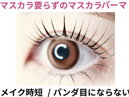 ハピネス(Happiness)の写真