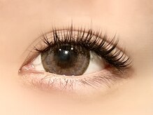 パキラ(Pachira)/【濃さ抜群】MAXボリューム！！