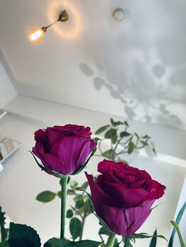 リリーボワ(LillyBois)/照明