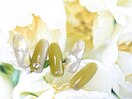 5月【定額】トレンドコース