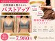 ナリッシュバスト(Nouriche Bust)の写真