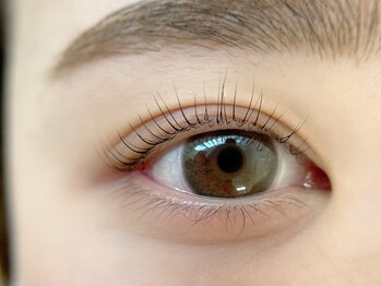 シャルエ アイサロン(Charer)/ラッシュリフト(まつ毛パーマ)