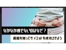 アリーズ エステ スウェイ(ally's esthe sway)の雰囲気（ご自身に合ったダイエットをご提案させていただいております。）