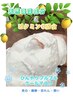 【夏限定】天然海藻成分とビタミンCひんやりプルプル◎美白×潤いマスク