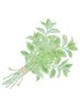 【平日限定】美肌入浴+薄荷フェイスパック+お好きなドリンク♪