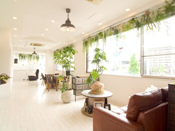 ネイルアンドアイラッシュ ラグナ サロン(Nail&Eyelash Laguna Salon)/1　内観