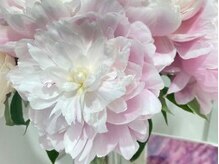 ポーラ ザ ビューティ ブリーゼブリーゼ店(POLA THE BEAUTY)/今日のお花