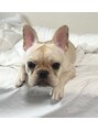 ザ バーム 津田沼店(THE BALM)&nbsp;愛犬のフレブルです( ^ω^ )