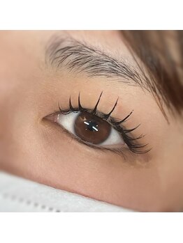 ノエル 久里浜店(Noel)/LEDフラットラッシュ120本