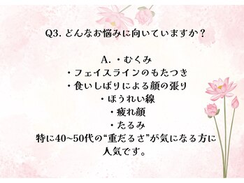 コトリト(Cotorito)/