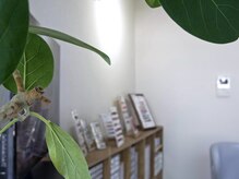 ディア ネイル 中野(Dia nail)/Dia Nail