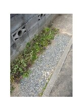 ポノサロン(pono salon)/草むしりもどき