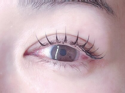 アイサロン 葵向日の写真