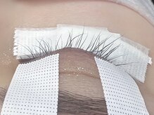 バタフライ 武蔵小杉店(Butterfly)/ラッシュアディクト効果比較