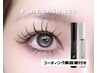 ７月限定☆フラットラッシュ120本＋コーティング美容液　新規¥9500/再来¥9900