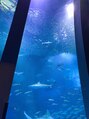 キープスマイル 東戸塚店(keep smile)&nbsp;水族館でのんびり癒やされるのも好きです♪