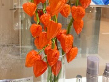 ポーラ ザ ビューティ ブリーゼブリーゼ店(POLA THE BEAUTY)/今日のお花