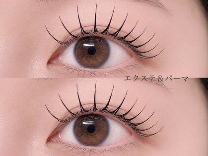 メルシー(Merci)の写真