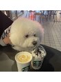 トゥルーアイ 渋谷道玄坂店(TRU EYE)&nbsp;愛犬のビションフリーゼpupuですワンコ好きの方お話しましょう♪