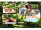 ほぐしガッテン 石垣島店&パナ・ン琉球スパの写真