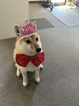 うれしい整骨院/６月生まれの女の子☆小梅