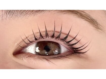 アイリス(iRIS)の写真