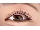 アイリス(iRIS)の写真