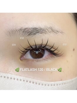 ロゼ ヴィレッタ/フラットラッシュ