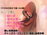 【デトックス・リラックスに特化】選べる4種のハーブ蒸し★美肌になれる60分