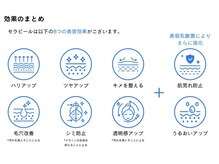 サゥオルサロン(sawalsalon)/セラピールの効果一覧
