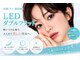 スパイス 天満橋店(Spice)の写真