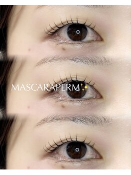 パティオアイラッシュ(Patio eyelash)/マスカラパーマ