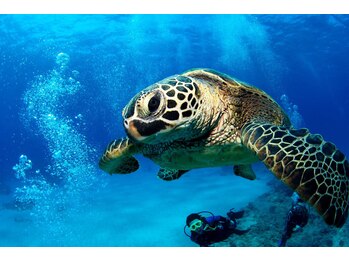 ハワイアンフォレストSpa 福岡天神店/スキューバダイビング