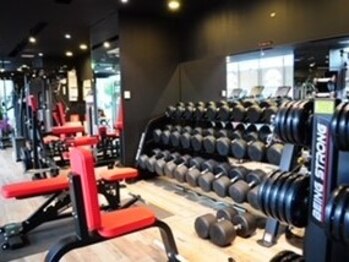 パワーハウスジム サッポロジャパン/豊富な器具が揃う最新GYM