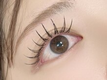 シエナ(ciena)/《フラットラッシュ 120本》